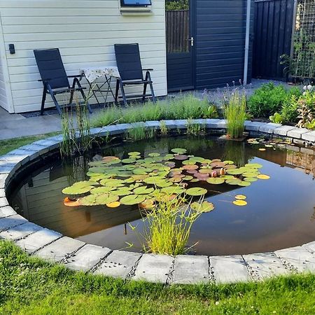 B&B Zeeuws Knoopje Burgh-Haamstede Eksteriør billede